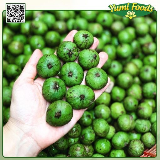 TRÁI SẤU - YUMI