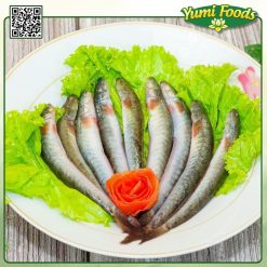 CÁ KÈO - YUMI