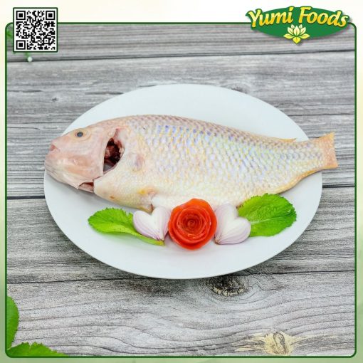 CÁ DIÊ HỒNG - YUMI