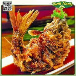 CÁ CHÉP - YUMI