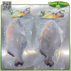 CÁ CHỊM - YUMI