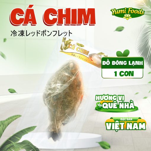 CÁ CHIM - YUMI