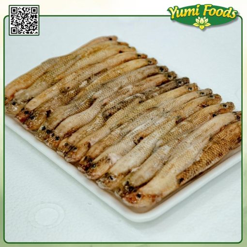 CÁ BỐNG - YUMI