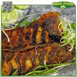 CÁ TRÊ NGUYÊN CON -YUMI