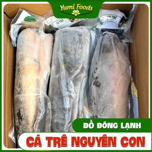 CÁ TRÊ - YUMI
