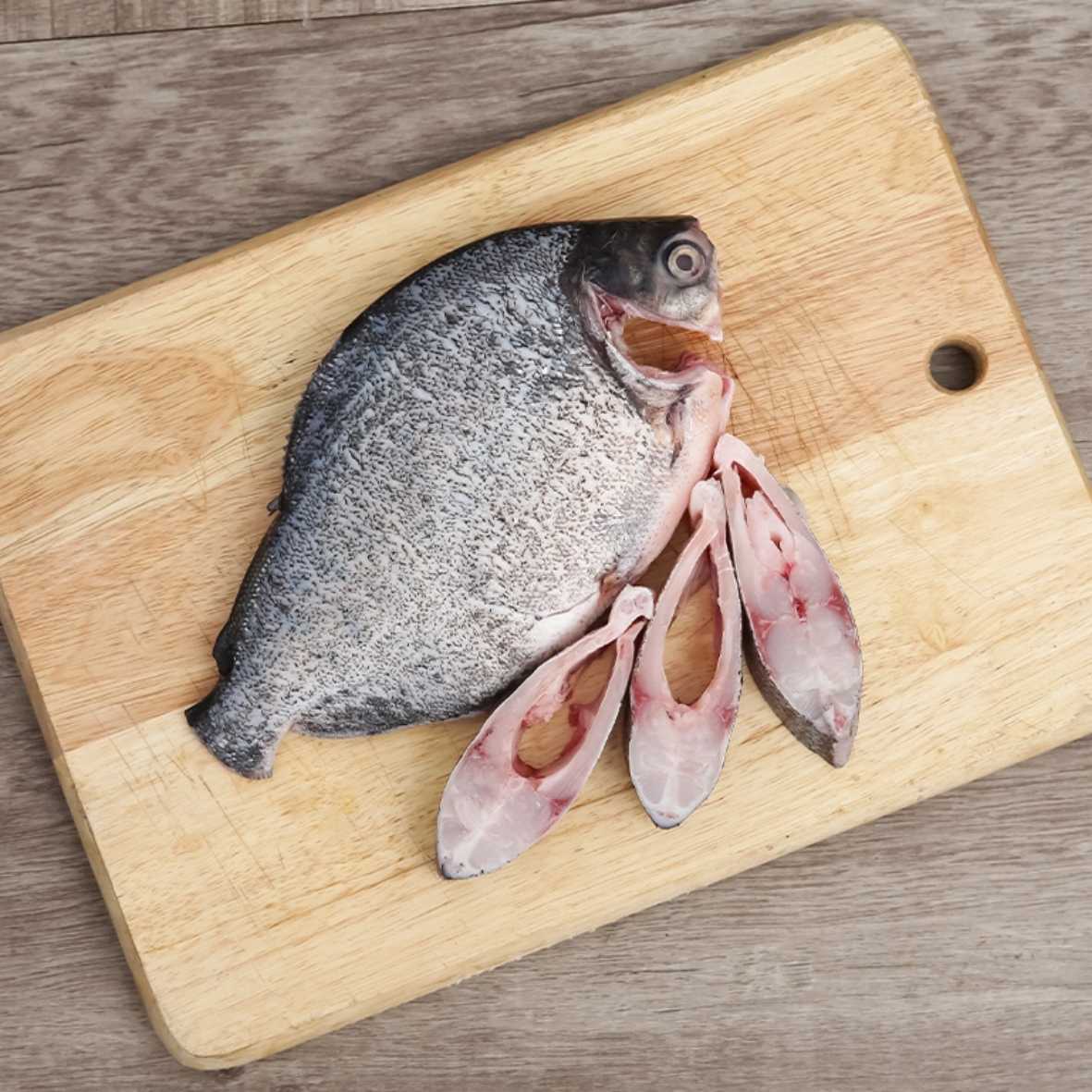Cá chim nước ngọt Lợi ích vượt trội và 5 món ngon hấp dẫn