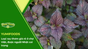 Loại rau thơm giá rẻ ở chợ Việt, được người Nhật coi trọng