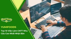 Top 10 Việc Làm CNTT Nhu Cầu Cao Nhất Nhật Bản