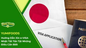 Hướng Dẫn Xin e-VISA Nhật Tất Tần Tật Những Điều Cần Biết
