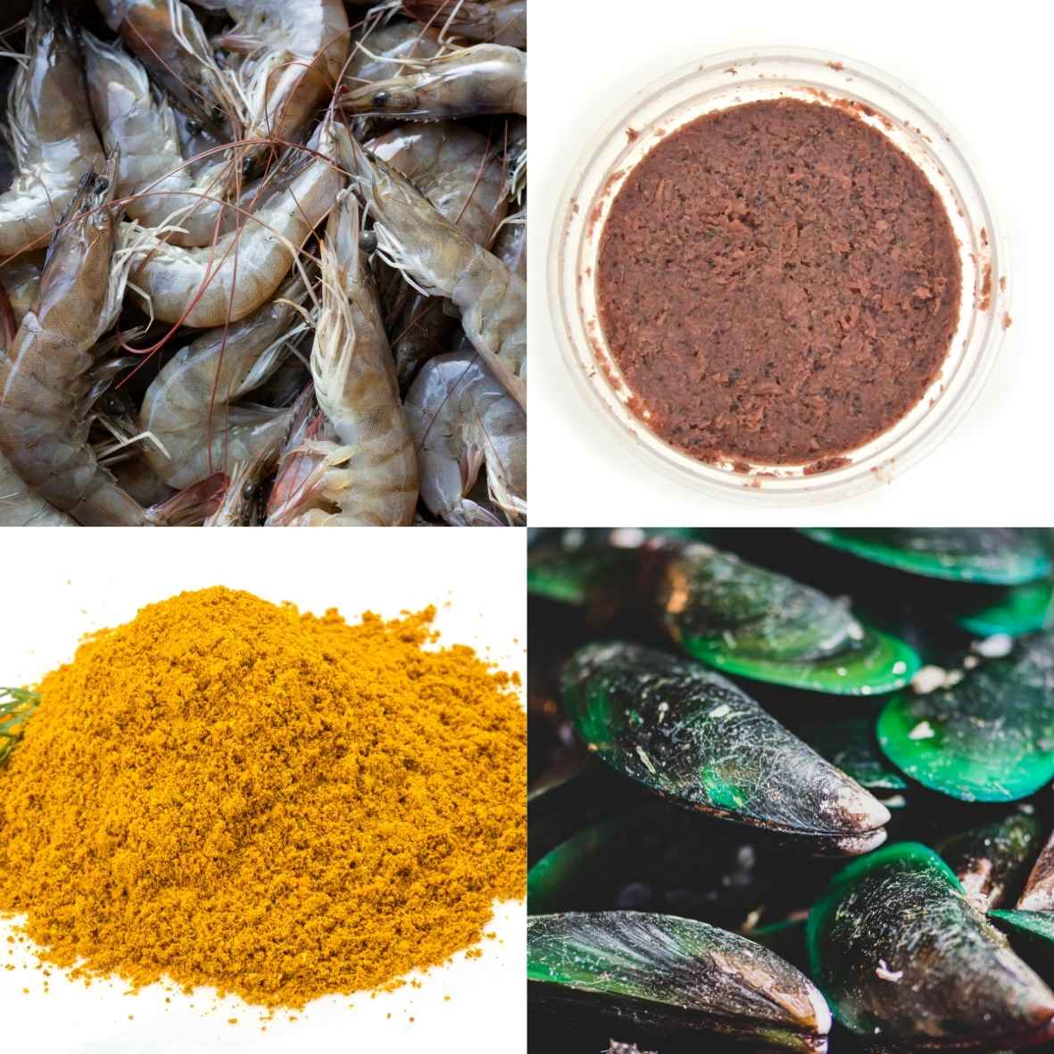 Lạc xá là gì_ Cách nấu Lạc xá chuẩn vị thơm ngon