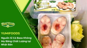Yumifoods Sỉ Cá Basa Không Mạ Băng Chất Lượng Cao