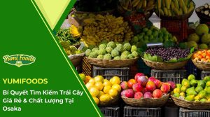 Bí Quyết Tìm Kiếm Trái Cây Giá Rẻ & Chất Lượng Tại Osaka